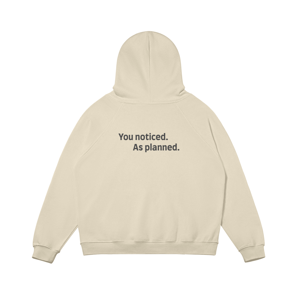 Light Hoodie - As planned