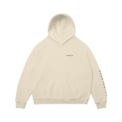 oversized light heavyweight hoodie 380gsm front