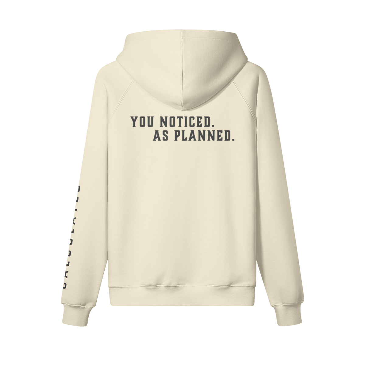 oversized light hoodie velvet htv back statement